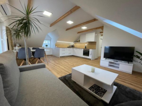Apartmán Světla, Pardubice